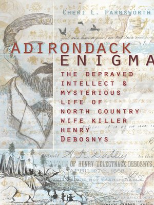 cover image of Adirondack Enigma